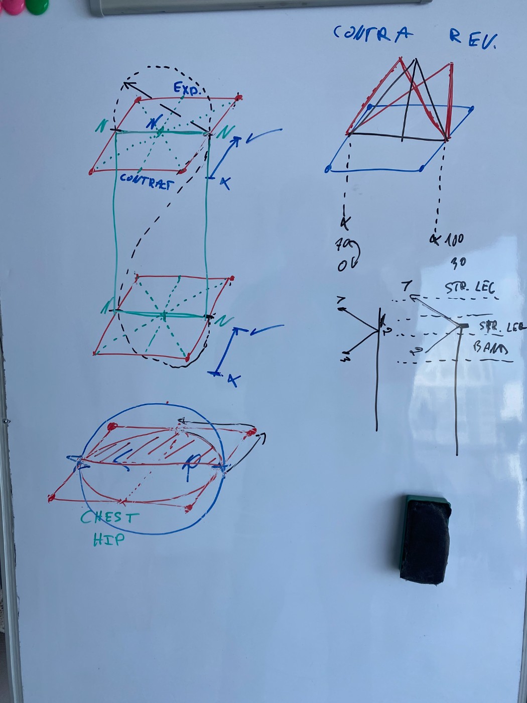 Whiteboard: chest and hip planes, contraction and expansion